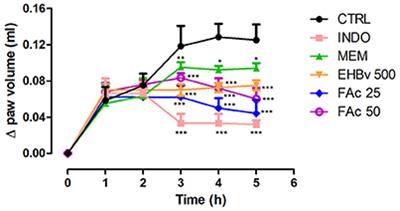 Antinociceptive Activity of Borreria verticillata: In vivo and In silico Studies